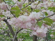 kyoukőt[K[fAWF̓eʐ^8