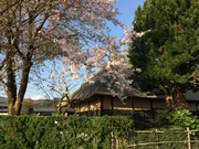 ӂ̍wdvuycƏZv̓eʐ^1