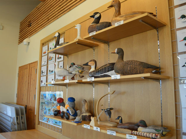 �����E���n�Z���^�[���̓W��_�{����