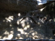 r[S750̑ߎRωἘeʐ^2