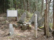 r[S750̉BÓ_Ђ̓eʐ^4