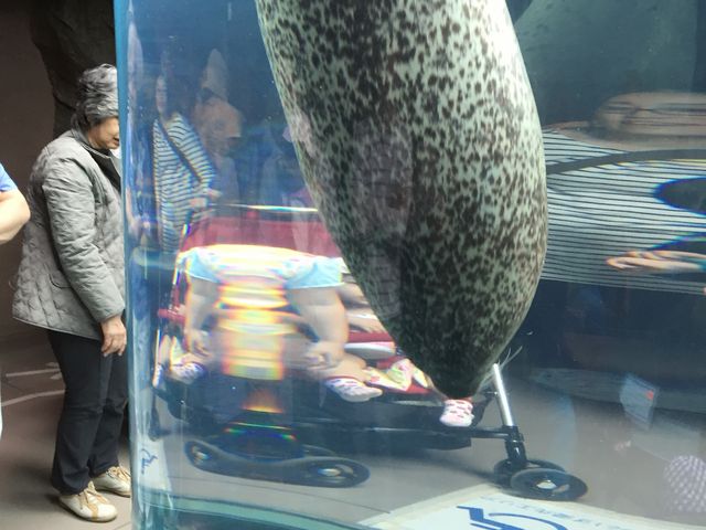 �A�U���V_���R������