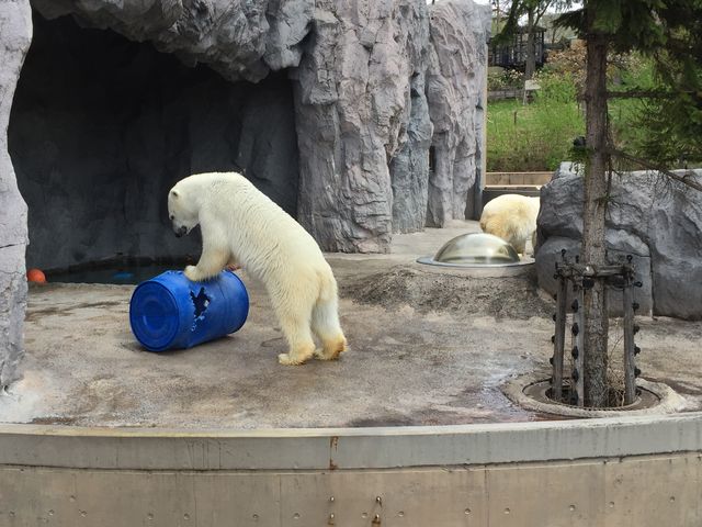 ������_���R������