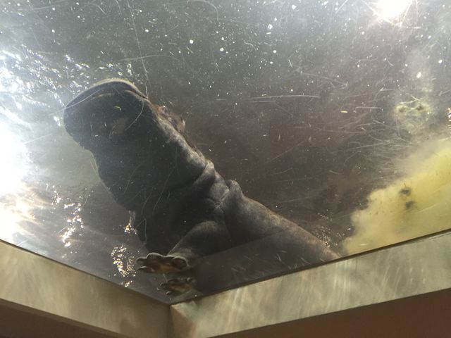 �J�o_���R������