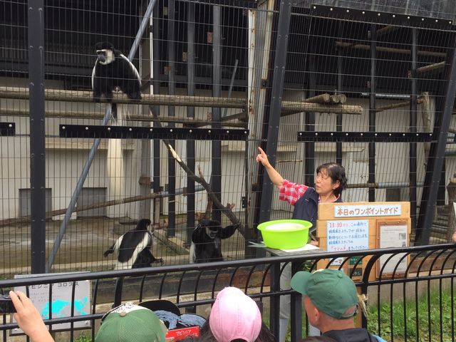 �����|�C���g�K�C�h_���R������