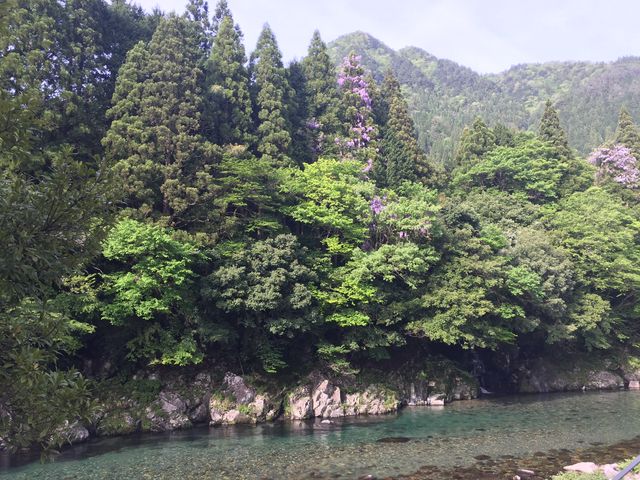 ��̐��������Y��ł��I�I_�o�[�x�L���[�n�E�X�l�G�̐X