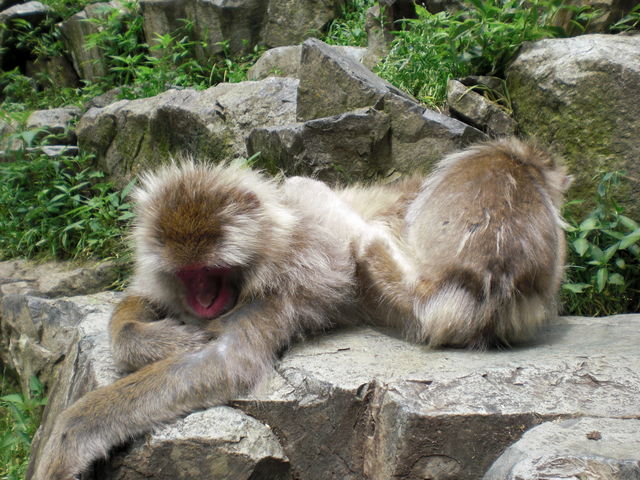 ��_�n���J�쉎����