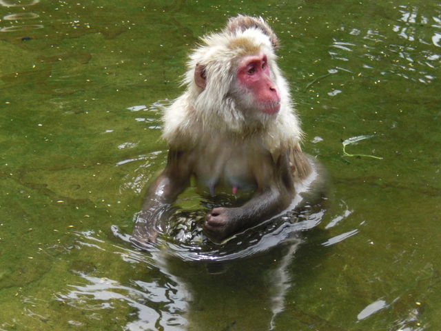 ����_�n���J�쉎����