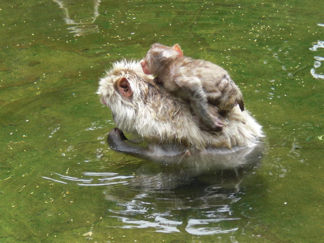 �e�q�A��_�n���J�쉎����