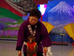 河口湖猿まわし劇場の写真一覧 じゃらんnet