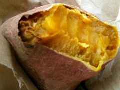 Poti����̂ւ̓��e�ʐ^2