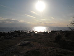 harusu̔lt[p[Nւ̓eʐ^1