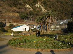 harusu����̔��l�t�����[�p�[�N�ւ̓��e�ʐ^2