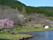 ԂRECAMPʕ{u΂̓eʐ^3