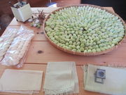 v[񂳂̈ܖsV\Z^[̓eʐ^3