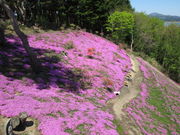 yosshŷӂ邳Ƃ̐X̓eʐ^1