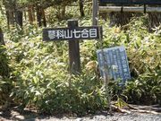 w-masaȎRړoR̈̒̓eʐ^2