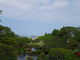 殿さんの鹽竈神社の鹽竈桜の投稿写真2