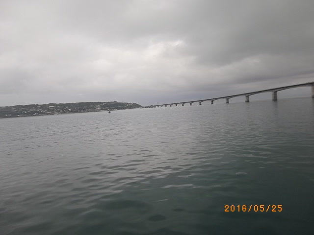 �ÉF����_�ÉF�����V���D