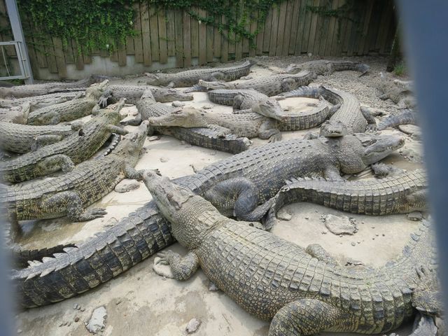 ���j_�S�R�n��