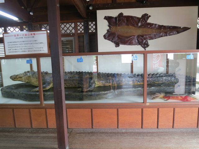 �傫�����j�̏Љ�_�S�R�n��