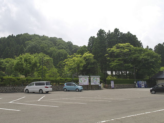 �z�O�̗� ���^�쉑_���t�̗��@���^�쉑