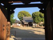 Sakamoto119����̏�����̓��e�ʐ^5