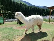 p222p̐__[f̐X̓eʐ^1