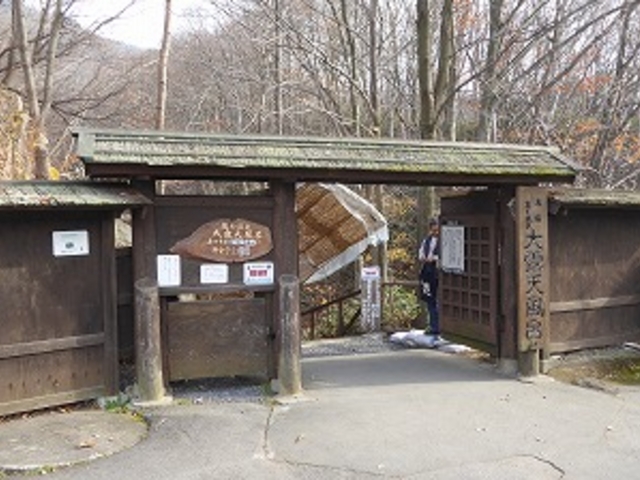 �R�`���E������I�V���C_��������