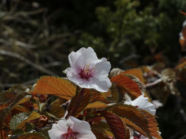 ���}�U�N���H_���r��R