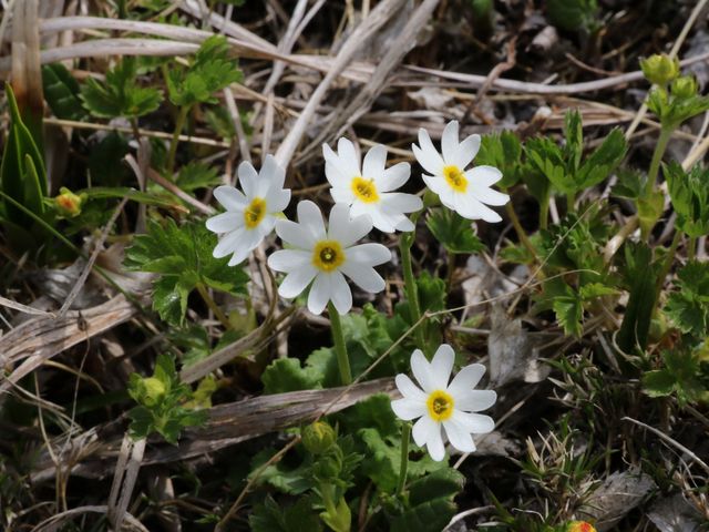 �q���R�U�N��_���r��R