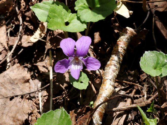 �^�`�c�{�X�~��_���r��R