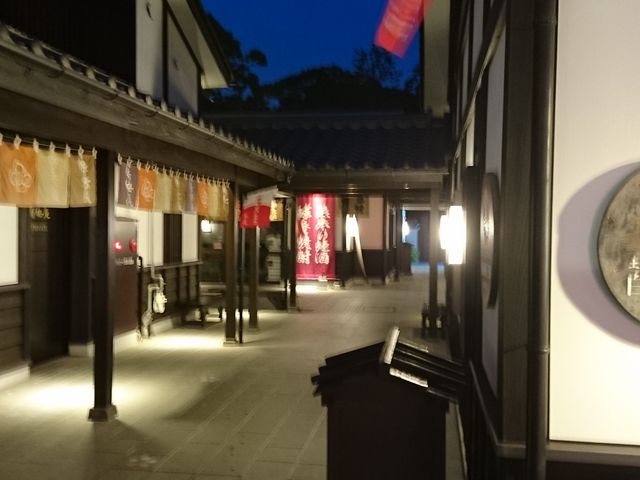 ��̏�ʉ�_���̔n��@��ʉ������ό��ē���