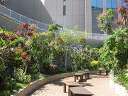 TATK̐_ˍۉق̓eʐ^2