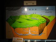 pon񂳂̗⓴Aق̓eʐ^1