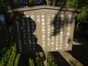 Ђ낳̈㉤iRtj̓eʐ^1