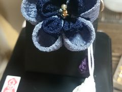 ق̋܂ݍ׍ȞH[ʉւ̓eʐ^1