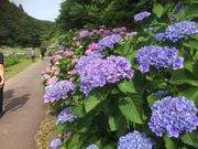 [邳̓񌩂傤ԃ}̐X̓eʐ^1