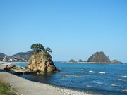 asuka̗RǊC݂̓eʐ^1