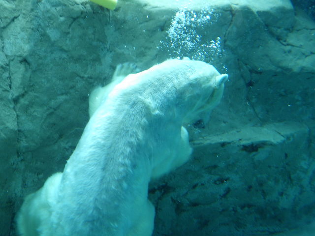 ���낭��_���R������