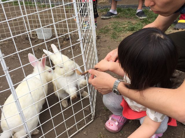 �������̉a���_�ɍ��ۃO���[���q��