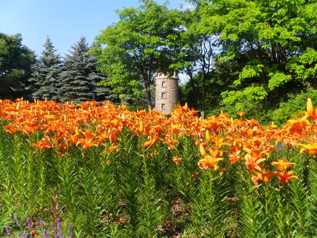 ��_�S����������