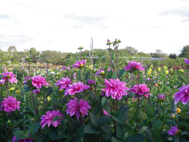 �H_�S����������