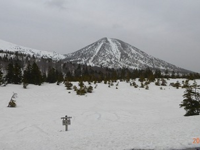 �X���E���b�c�R�E��̉�L_��̉�L