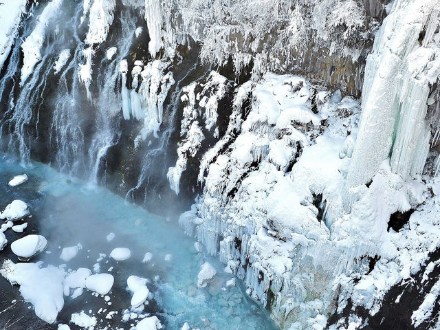 ��i�F_���Ђ��̑�