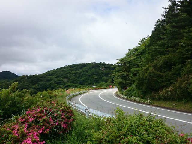 󂢂Ăđ₷łB_AlXgc@^[pCN