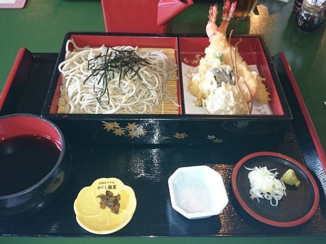 [R΂̓V邻΂łB˂VRVRĂĔłB_lGȉhԏj