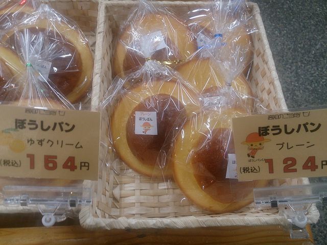 lC̖XqpłB_̉w 썑iǗj