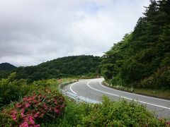 ꂨ񂳂̃AlXgc@^[pCNւ̓eʐ^2