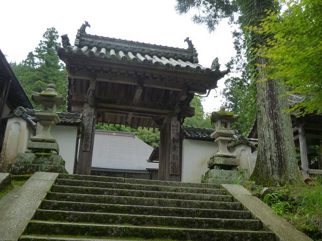 �}�K�i�Ɩ�_�@�ӗ֎�